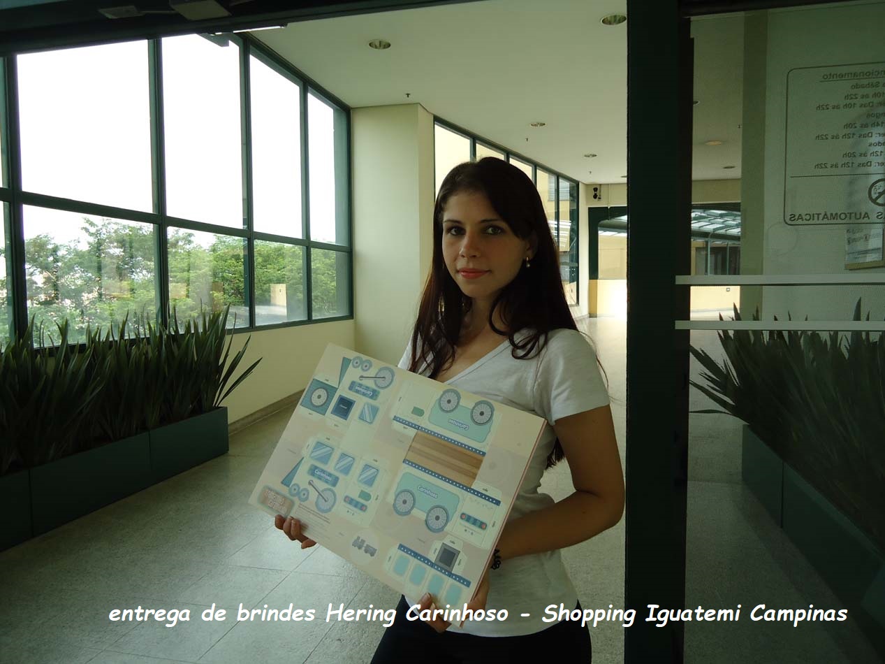 Ação Carinhoso entrega de brinde (4).jpg